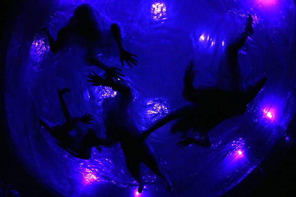 Fuerzabruta   (9 )