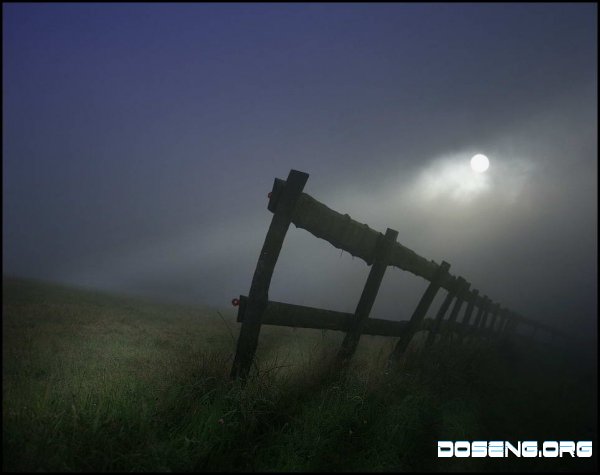    Veronika Pinke