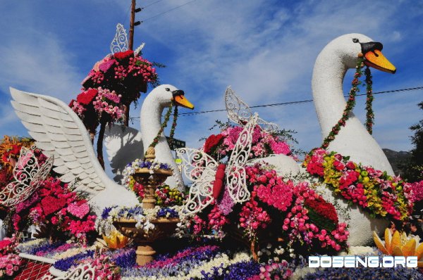    Rose Parade 2008   Pasadena (21 )