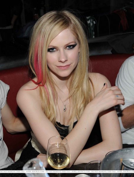    Sum 41 After Party (11 )