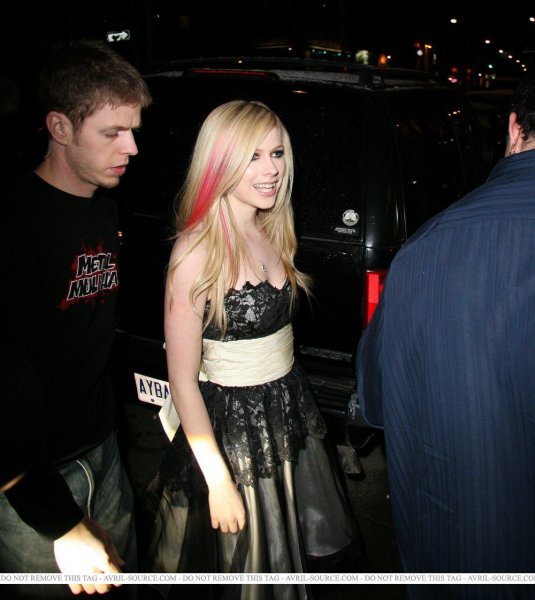    Sum 41 After Party (11 )