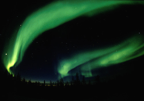    Paul Nicklen (19 )