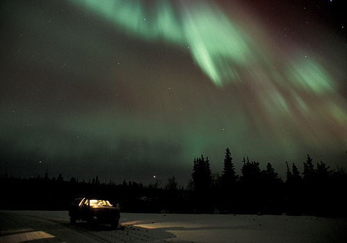    Paul Nicklen (19 )