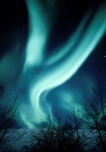    Paul Nicklen (19 )