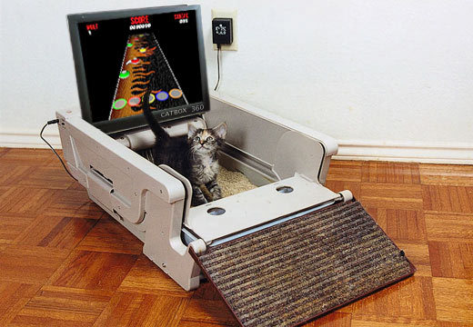 CatBox 360     