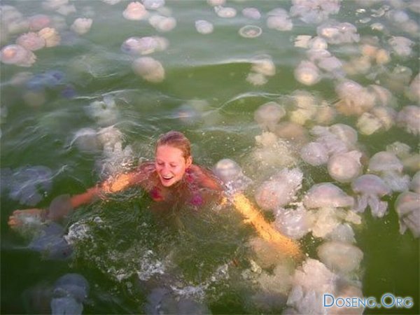 Девушка среди медуз