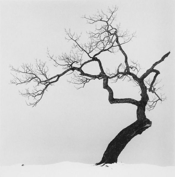   ... Michael Kenna (148 )