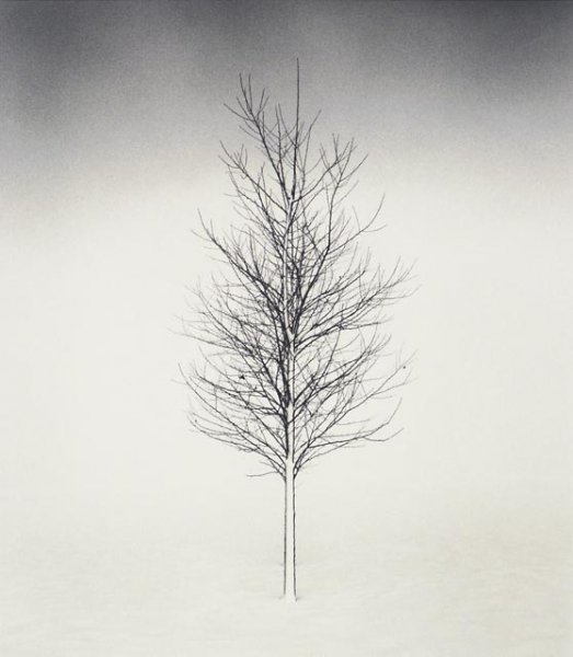   ... Michael Kenna (148 )