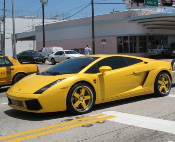 Lamborghini Gallardo      (8 )