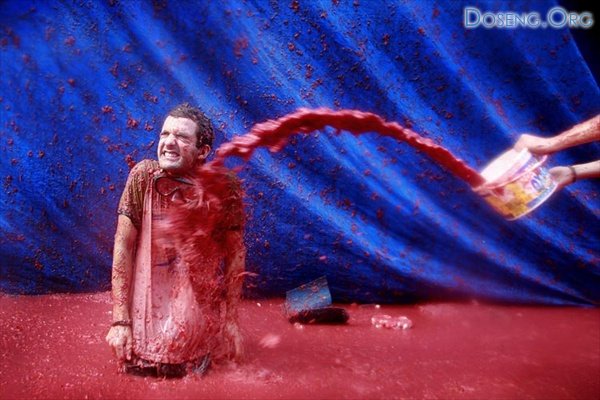     (La Tomatina)  