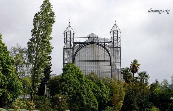 Ботанический сад в Берлине