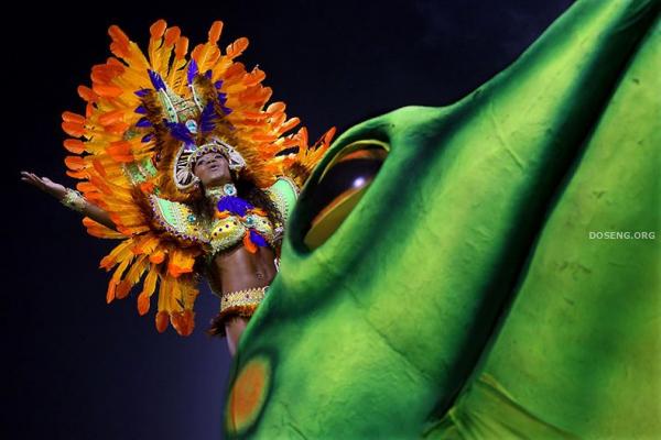 Карнавал в Бразилии Фото