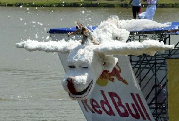 Red Bull Flugtag   (28 )