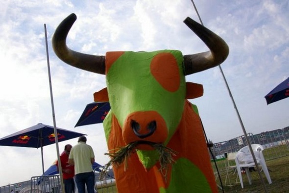 Red Bull Flugtag   (28 )