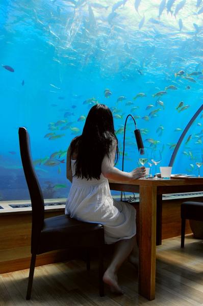   - Ithaa Undersea Restaurant (29 )