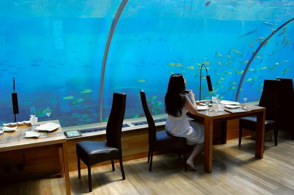   - Ithaa Undersea Restaurant (29 )