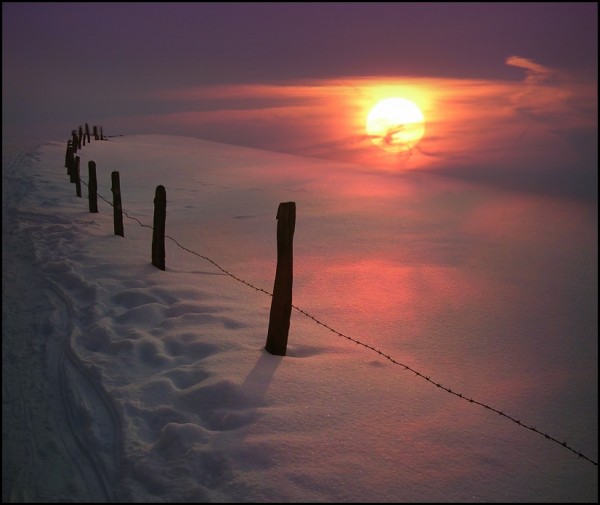     Veronika Pinke (30 )