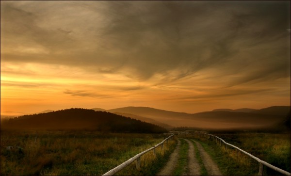     Veronika Pinke (30 )