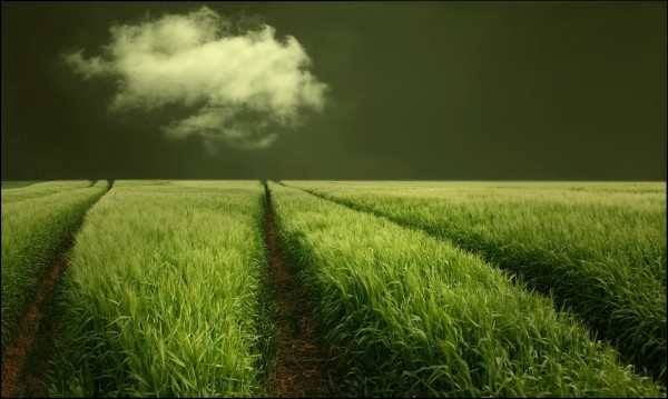     Veronika Pinke (30 )