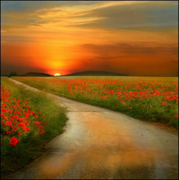     Veronika Pinke (30 )