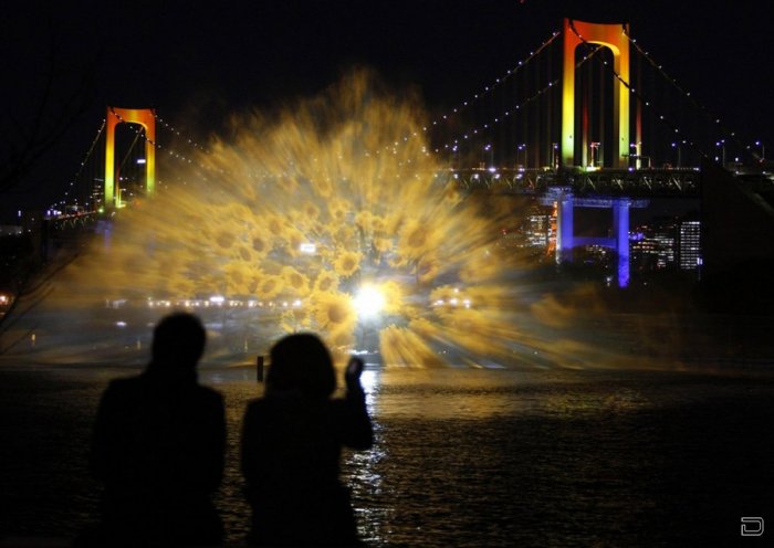   "Odaiba water illumination"   (3 )