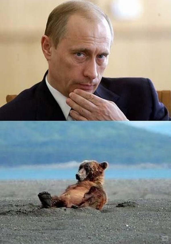 Привет Путин! (20 фото)