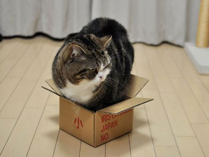 Поделка из коробки №4. Домик для кота