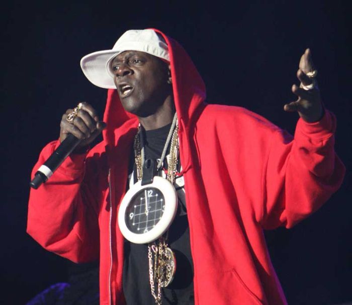    Flavor Flav (27 )