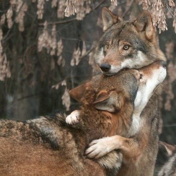 Позитив в понедельник