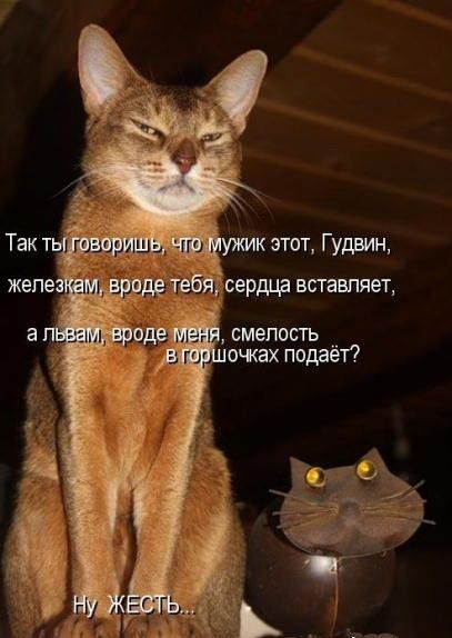 Забавные котоматрицы