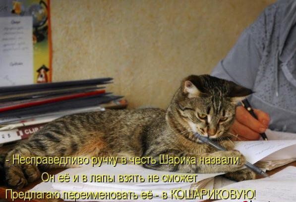 Забавные котоматрицы