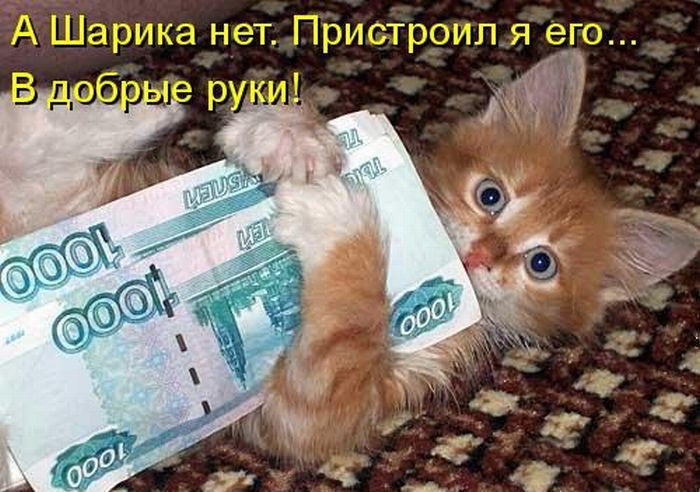 Забавные котоматрицы