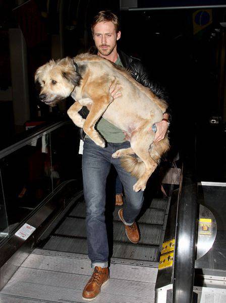 1308776576_celebrity_men_and_their_dogs_