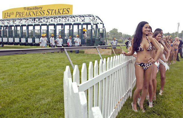      Preakness Infield