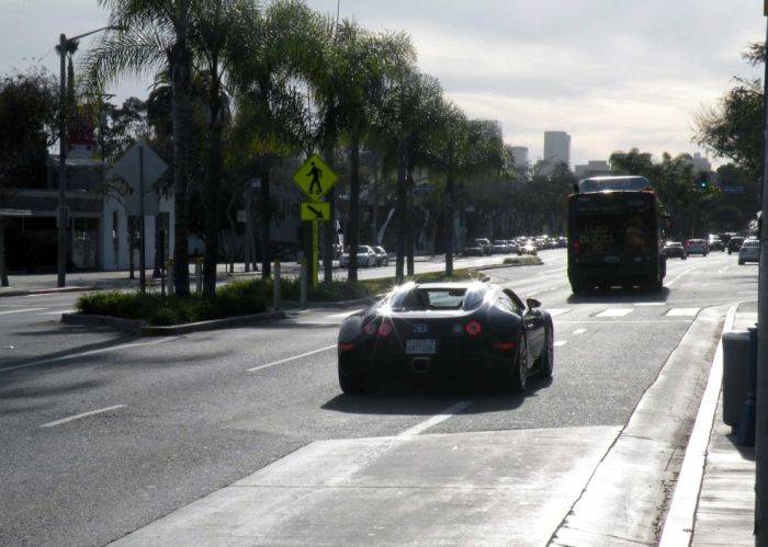   Bugatti Veyron (10 )