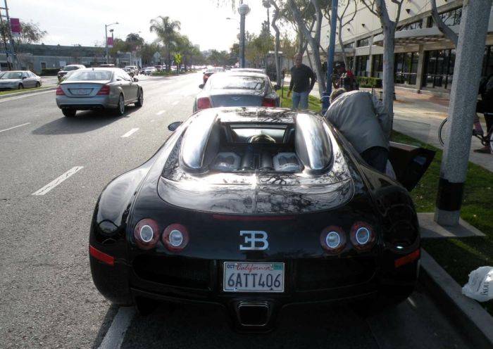   Bugatti Veyron (10 )
