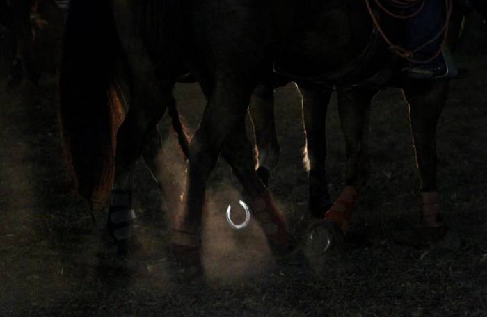  South Florida Rodeo   (29 )