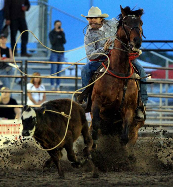  South Florida Rodeo   (29 )