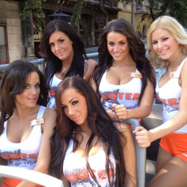     Hooters   (86 )