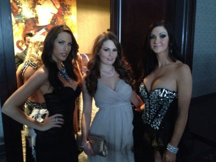    AVN Awards 2013 (19 )