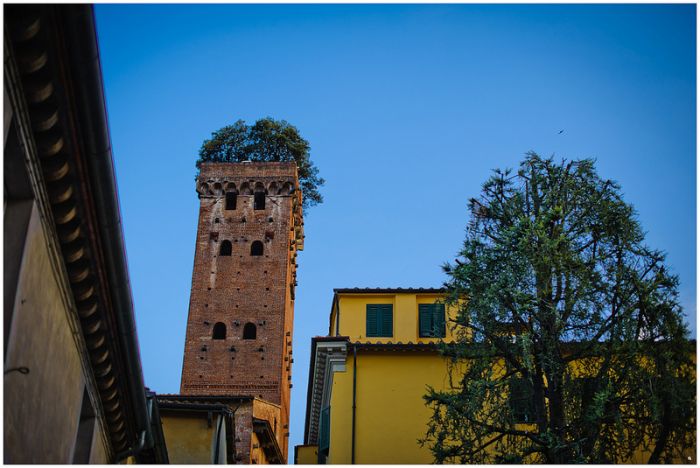 Torre Guinigi ( )