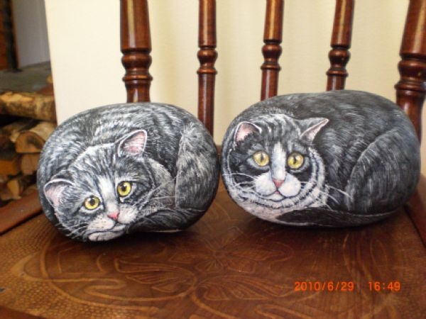 Потрясающие картины котов на камнях