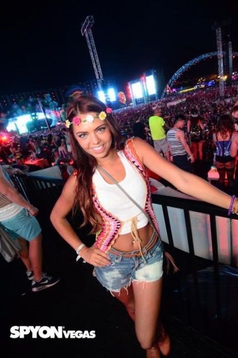      Electric Daisy Carnival  -