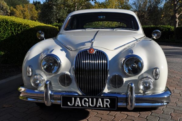      Jaguar,  ?