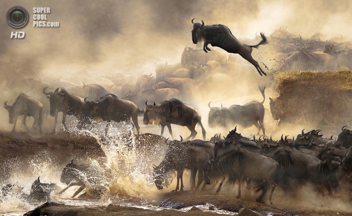 Sony World Photography Awards 2014