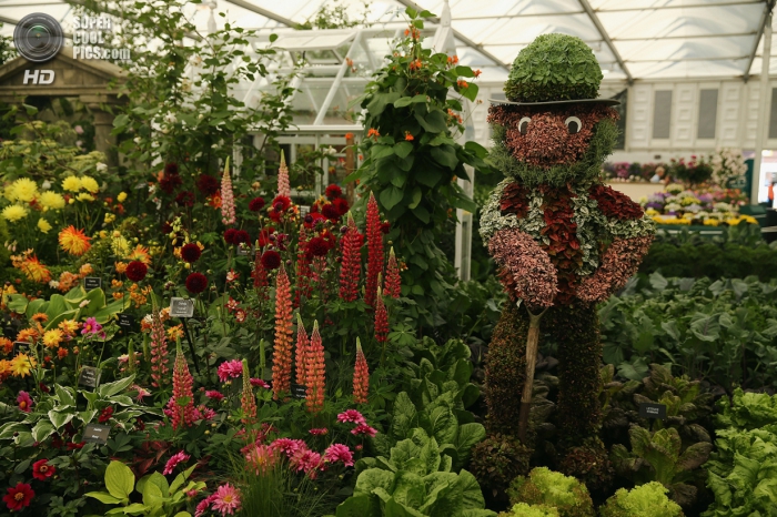 Chelsea Flower Show 2014