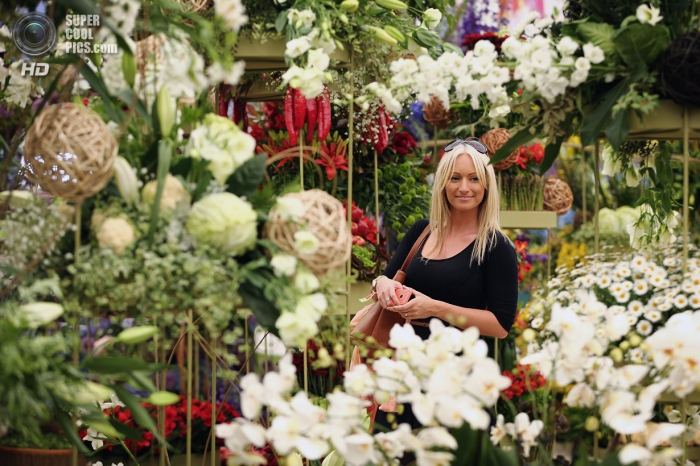 Chelsea Flower Show 2014