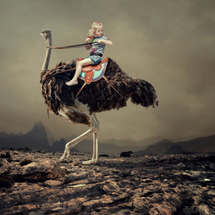  Caras Ionut ( 2)