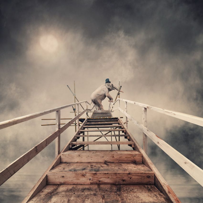  Caras Ionut ( 2)