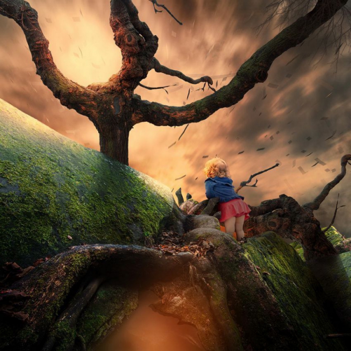  Caras Ionut ( 2)